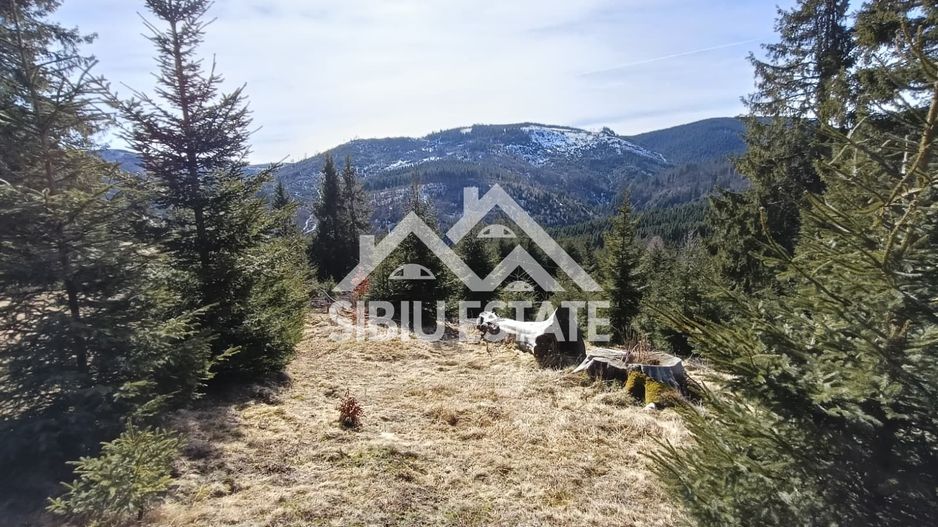 Teren de vânzare în zona montană a județului Alba - Poză 4
