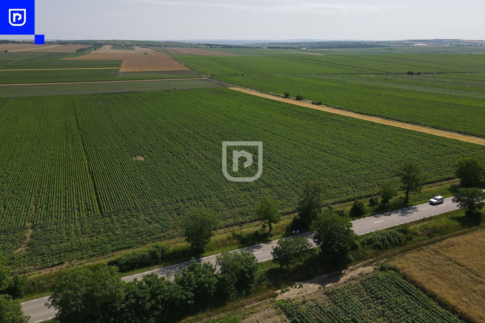 Teren - Orășeni Deal, Curtești | BOTOȘANI | 10.000mp - Poză 7