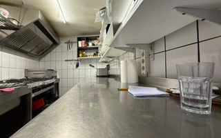 Grădina Icoanei – vilă cu potențial multiplu - Poză 12