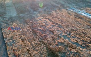 Vanzare Teren Industrial Autostrada A1 parcelabil - Poză 4