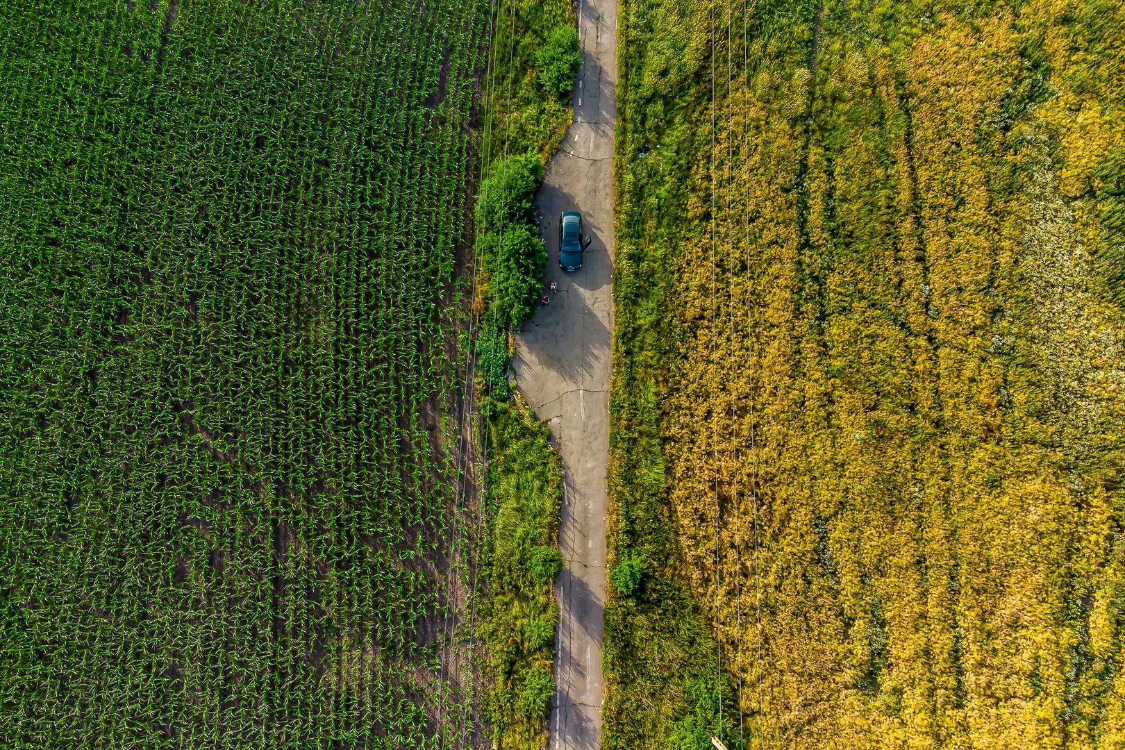 Teren pentru investiție DN7 - Poză 4