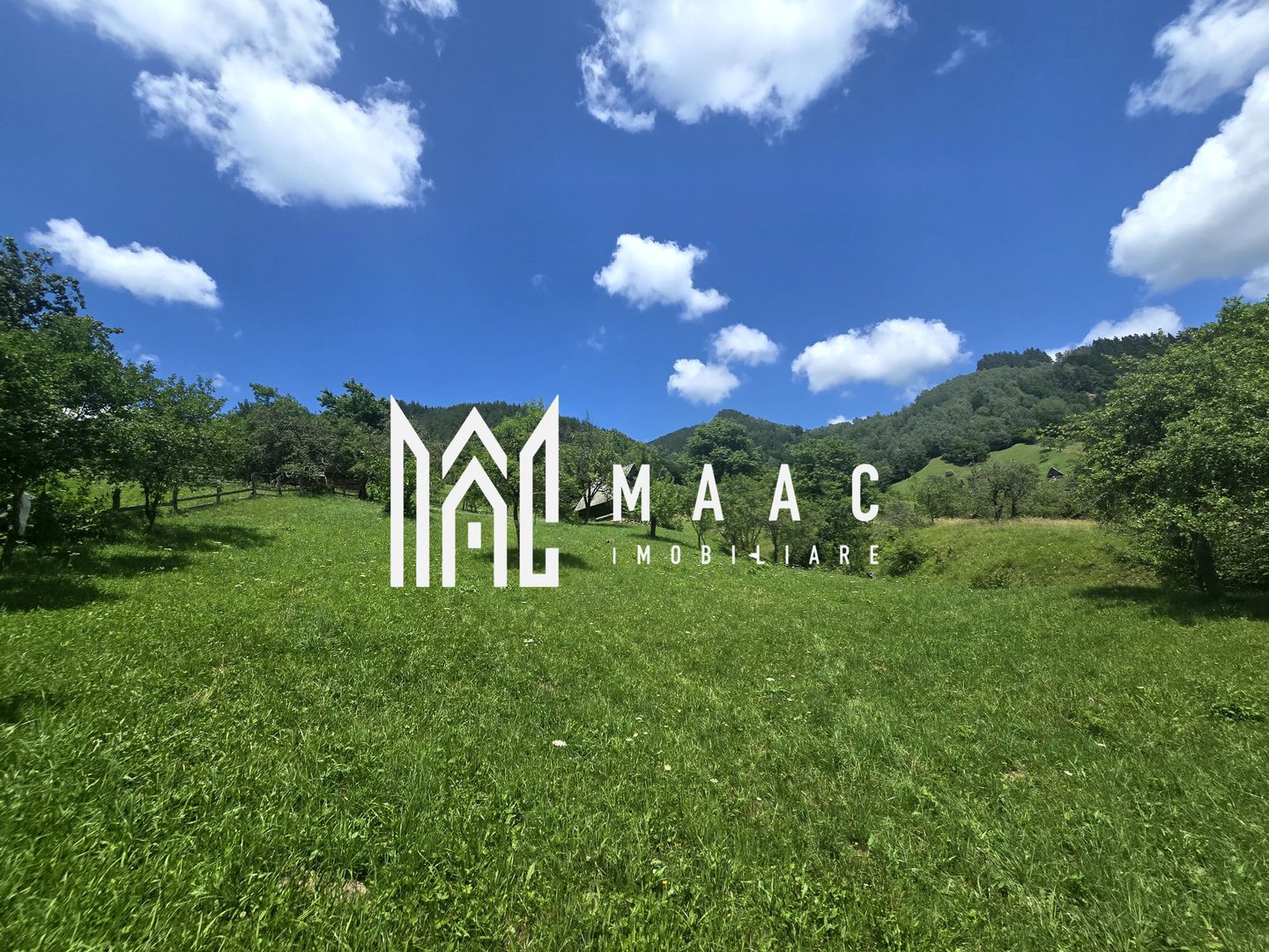 Teren | 2946MP | Priveliște Panoramică | Râu Sadului - Poză 3