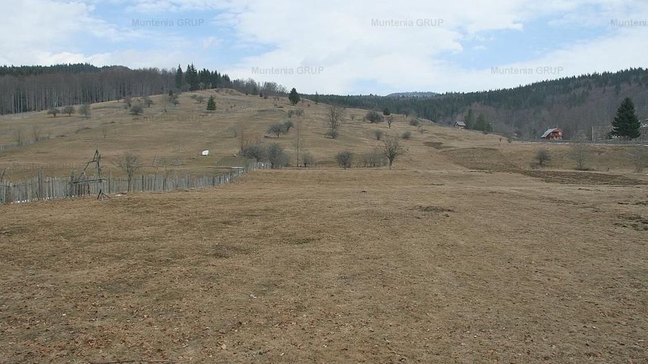 VALEA DOFTANEI - Traisteni, langa Conacul Dascalu, vanzare 2.537 mp. teren - Poză 10