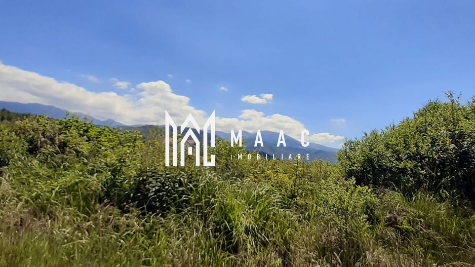 Teren Valea Avrigului | Investitie | 13000 MP - Poză 3