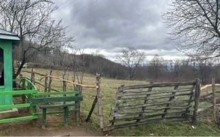 Teren Vladesti | 2311 mp | Intravilan +extravilan | - Poză 1