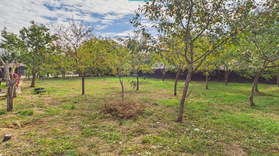 Teren pentru casă – Fântânele - Poză 6