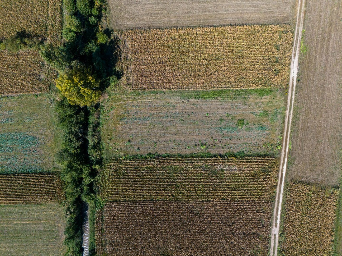 Teren  intravilan Brasov - Strada Plugarilor - Poză 4
