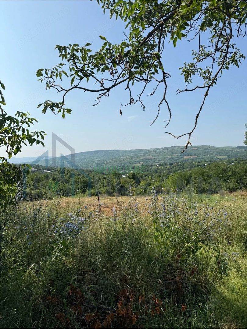 Teren intravilan de vanzare in Comarna, 4200 mp, asfalt si curent la limita, 20 km de Iasi - Poză 1