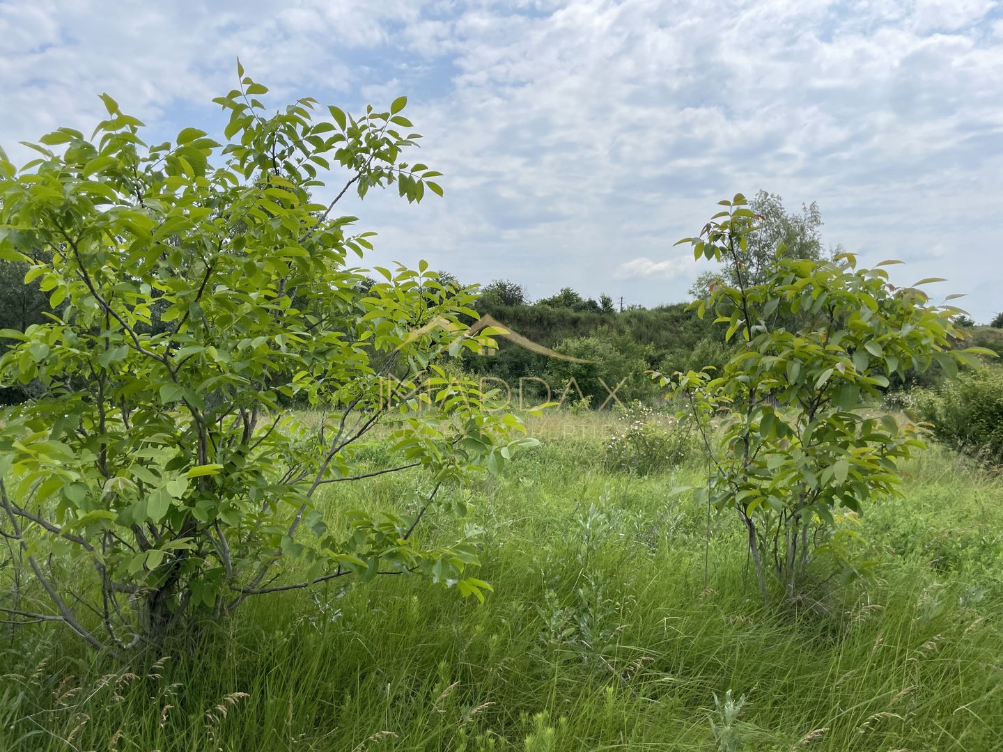 Teren intravilan***1439 mp***Cretesti-Vidra-Ilfov - Poză 24