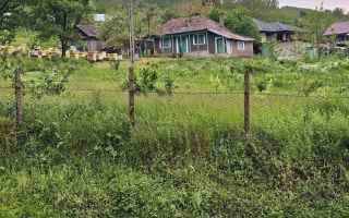 Casă cu teren intravilan de 5000 mp, livadă tânără și vie productivă, în Roșu, comuna Răducăneni, județul Iași - Poză 10