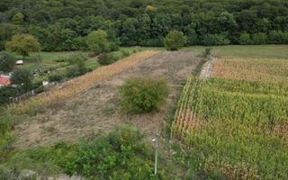 Teren intravilan lângă pădure, Racova - Poză 6