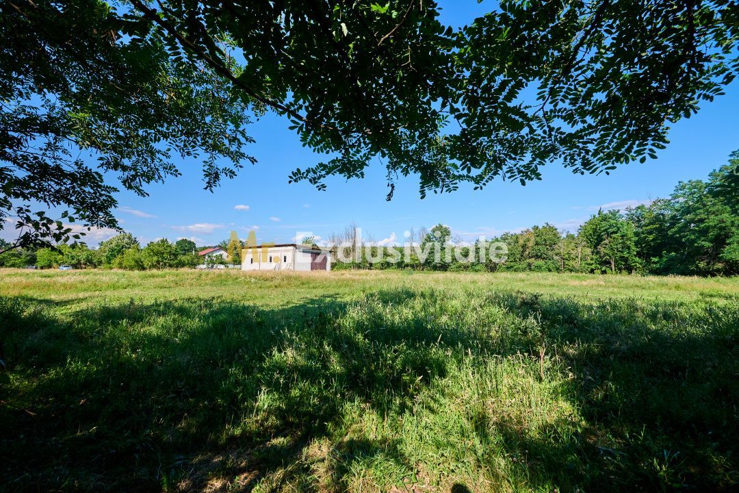 Teren Intravilan 1100 mp + Anexă 120 mp - Budeasa, Calotesti! - Poză 3