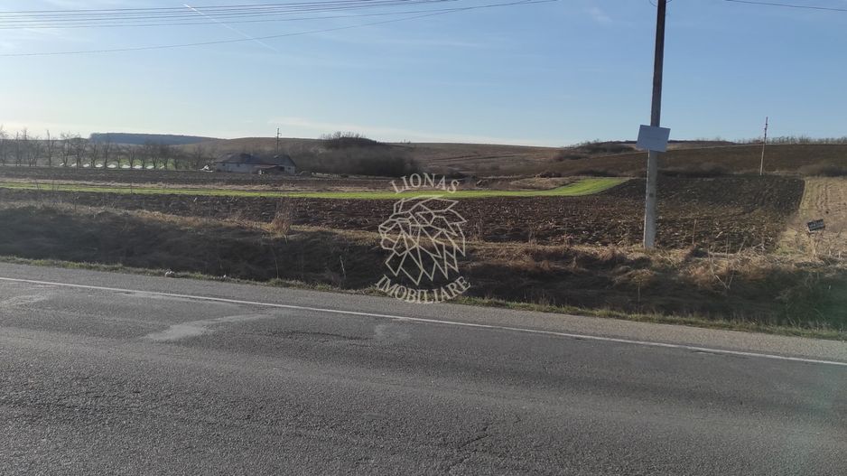TEREN INTRAVILAN | LOCALITATEA LIVADA, COMUNA ICLOD, JUD. CLUJ - Poză 6