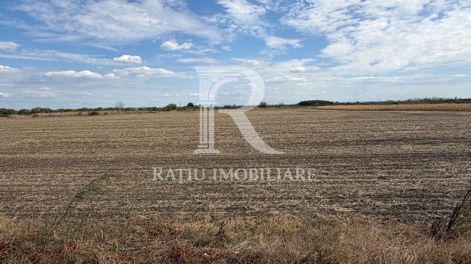 TEREN INTRAVILAN 4.750 MP | BORȘ | OPORTUNITATE DE INVESTIȚIE - Poză 4
