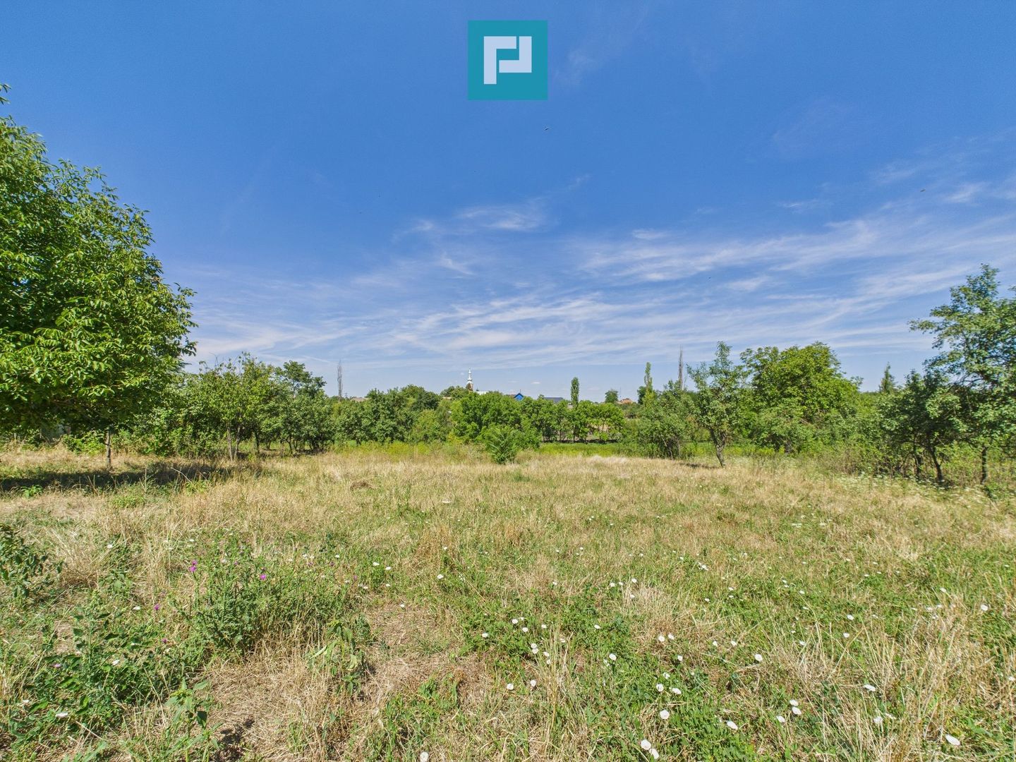 Teren 4919 mp– Comuna Călacea - Poză 2