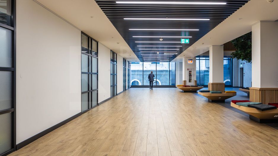 Chirie, oficiu premium, 470 mp, strada 31 August 1989, Centru - Poză 43