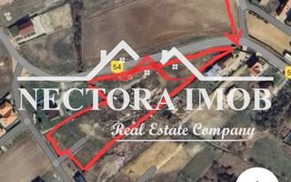 NECTORA IMOB-Teren Intravilan 10.000 mp, Zona Cheriu-Centura Oradea - Poză 3