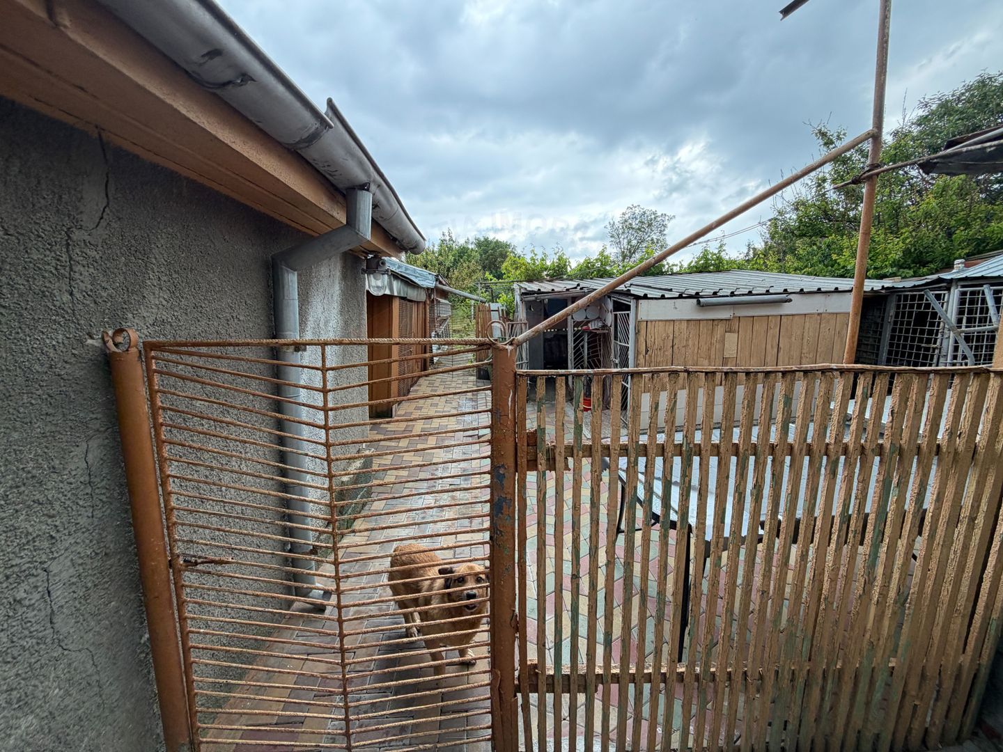 700 mp, teren intravilan, zona Centru, 150.000 euro - Poză 12