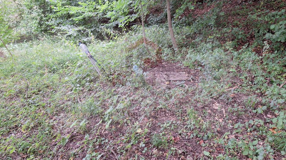 VANZARE ANSAMBLU CASUTE BRADULET ARGES - Poză 17