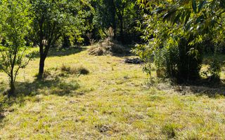 TEREN INTRAVILAN 3234 MP LEREȘTI VOINEȘTI ARGEȘ - Poză 15