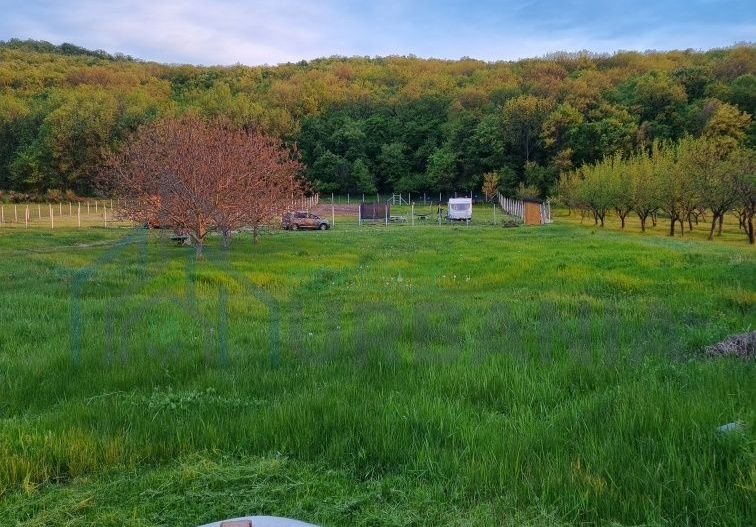 Teren intravilan de vanzare in Tomesti, Chicerea – 2 parcele cu utilitati in zona - Poză 6