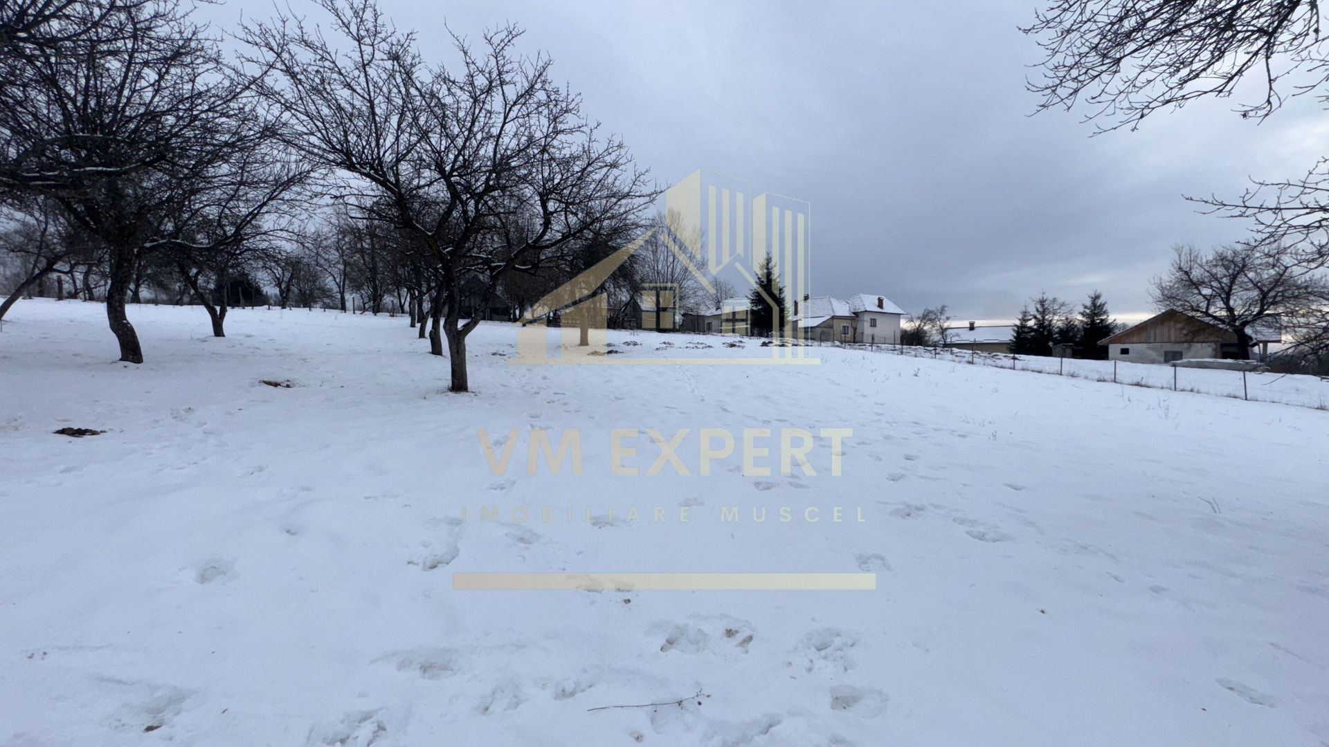 CASĂ 4 CAMERE TEREN 3038 MP ALBEȘTII  DE MUSCEL - Poză 21