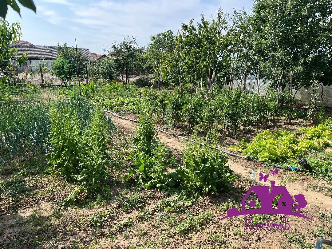 Casa in localitatea Nojorid - Poză 11