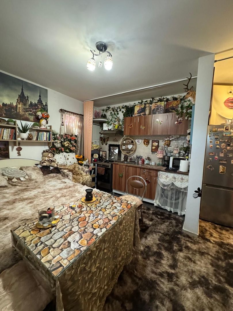 Garoniera Rahova-Salaj Bloc Nou N2 - Poză 9