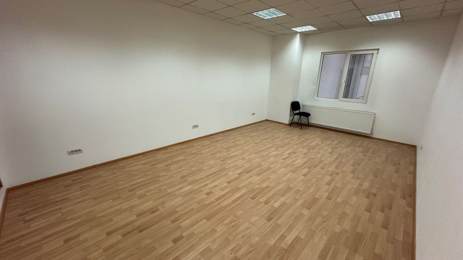 Spatiu productie/ depozitare  zona Sagului - Poză 16