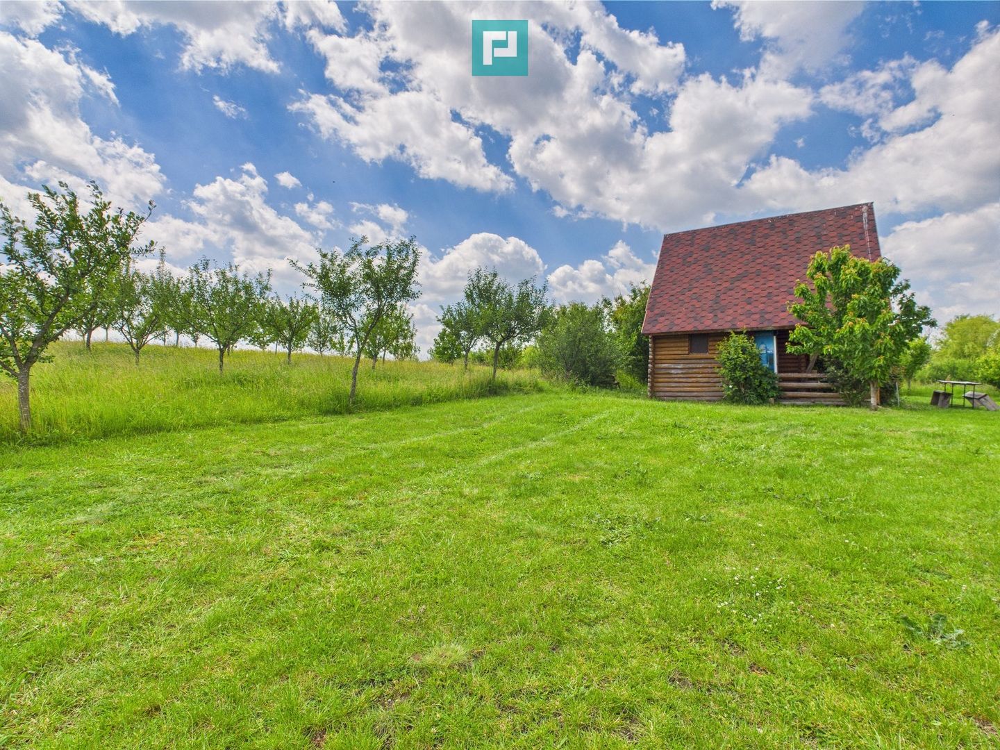 Teren cu baltă- oportunități multiple la Fibiș - Poză 35