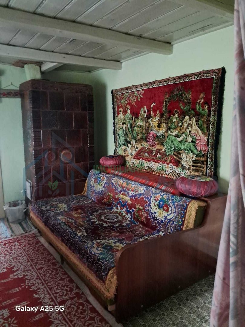 Domeniu de 7.500 mp cu casă bătrânească, anexe, livadă și iaz în Stolniceni-Prăjescu, Iași - Poză 6