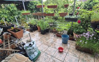 Casa individuala retrasa de la traficul cotidian - Poză 1