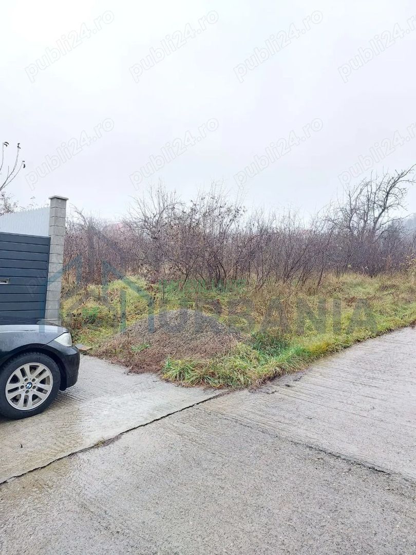 Teren Bucium, 3 minute de Hanul 3 sarmale, la Soseaua Barnova - # - Poză 4