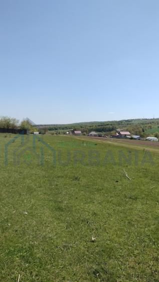 Teren extravilan 7.200 mp, Bordea - Grajduri, oportunitate investiție - Poză 1