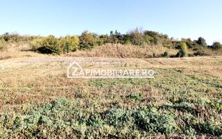 Teren 25.000 mp.  Comuna Voiniceni ,12 euro mp.comision ZERO - Poză 6