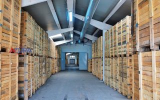 COMISION 0% - HALE Calinesti Arges - Poză 24