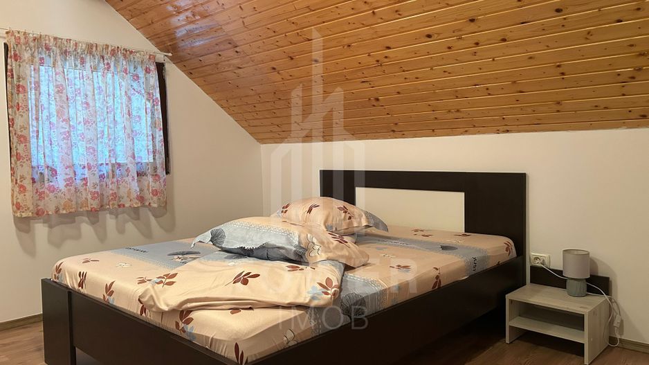 Casă de vacanță în Râu Sadului - Poză 13