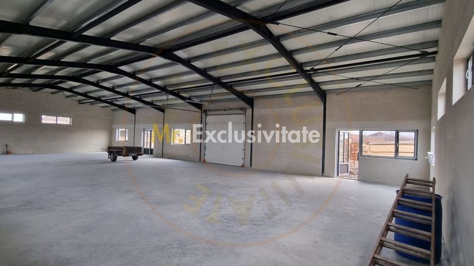 Inchiriere Hală Producție/Depozitare 300 mp, Teren 1791 mp - Carei - Poză 5