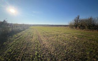 Teren intravilan de vanzare | 12.650 mp | Ghirdoveni, | COMISION 0% - Poză 5