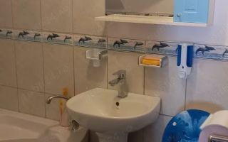 Apartament 2 cam SD - Nicolina,58 mp-Mansarda intabulata- 70.000 euro - Poză 8