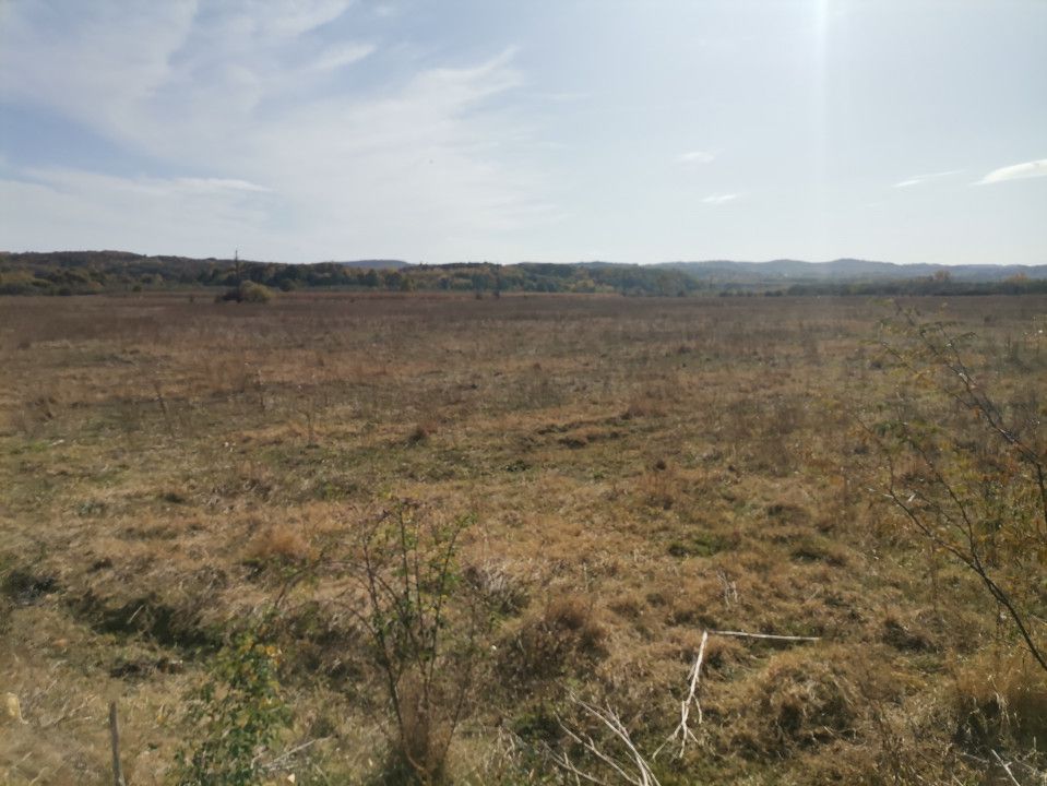 Vanzare teren arabil 22 Ha, plan, Arges, Moraresti - Poză 5