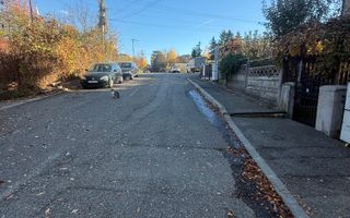 2 corpuri de Casă renovate + teren 125 mp Campina - Poză 32