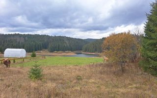 Proprietate unica! Teren generos cu iesire la lac! - Poză 9