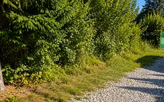 TEREN INTRAVILAN 744 MP | VALEA AVRIGULUI | IDEAL PENTRU CABANĂ - Poză 13