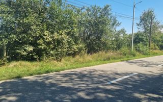 EXCLUSIVITATE! Teren la șoseaua principală | Tocile - Poză 2