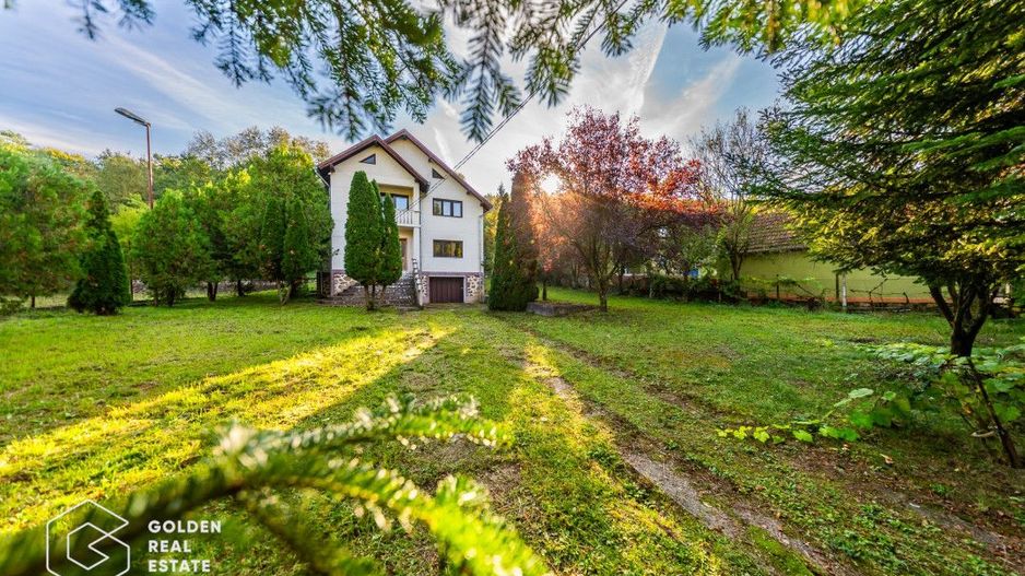 Casa de vacanta, localitatea Cladova, ideal pozitionata - Poză 4