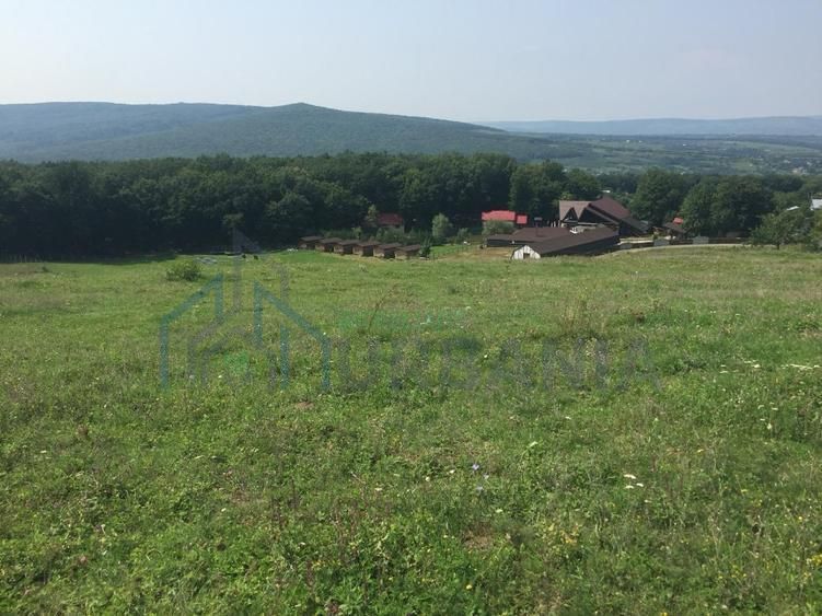 Teren Pietrarie, 1100 mp, vedere panoramică spre pădure și dealuri - Poză 2