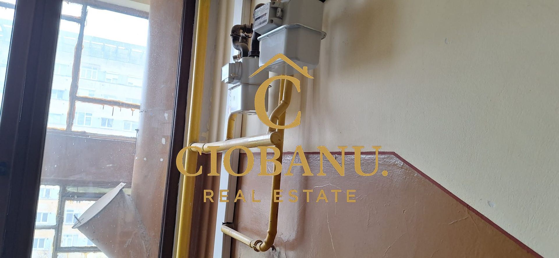 Apartament 3 camere de vanzare zona Gradina Botanica - Poză 7