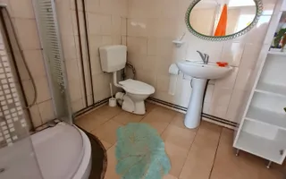 Casa nemțească cu teren generos - Poză 12