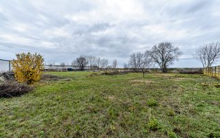 Hale depozitare/producție 2.000 mp si 10.000 mp teren în Pecica - Poză 14